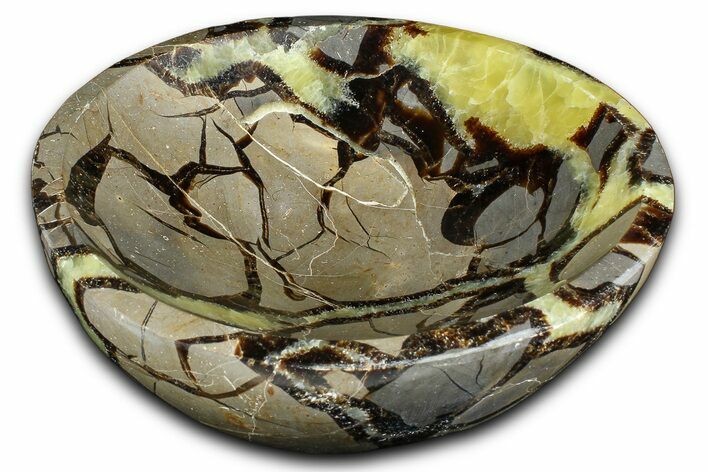 Eye-Eatching Polished Septarian Dish - Madagascar #371702